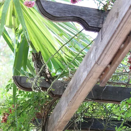 St.george's Country Retreat Casa vacanze Limisso