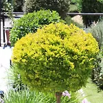 Holiday home St.george's Country Retreat Limassol