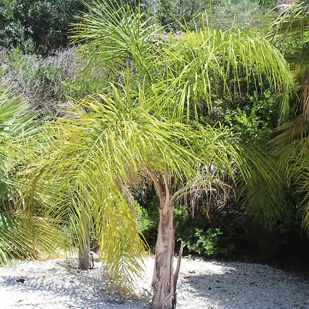 St.george's Country Retreat