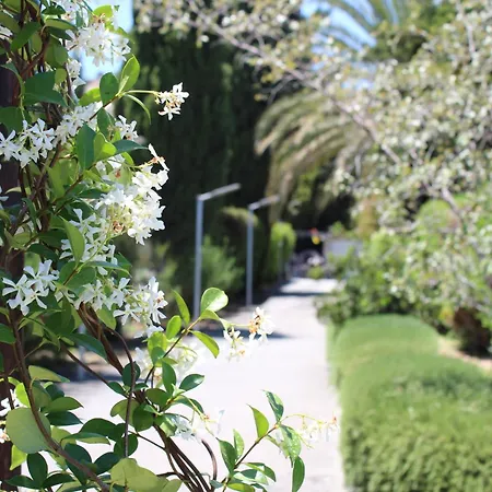 St.george's Country Retreat Casa vacanze Limisso